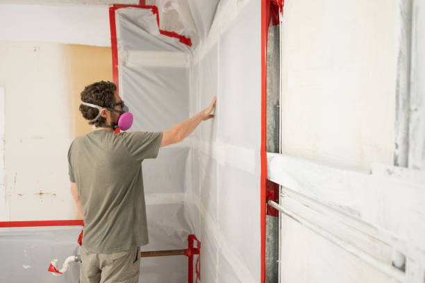 Best Black Mold Removal  in Key Largo, FL