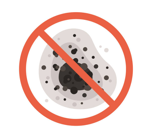 Best Emergency Mold Remediation  in Key Largo, FL