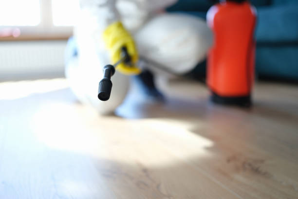 Best Comprehensive Air Testing for Mold Contaminants  in Key Largo, FL