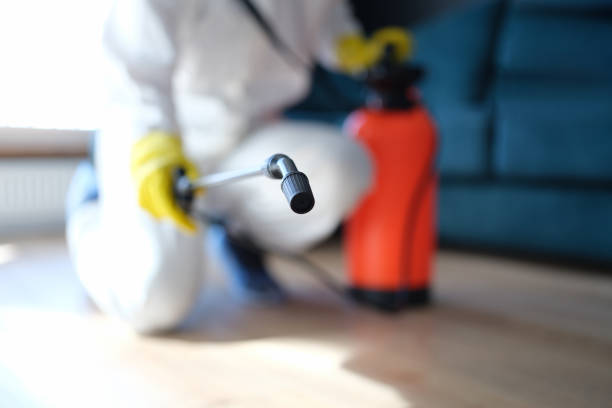 Mold Remediation for Vacation Homes in Key Largo, FL