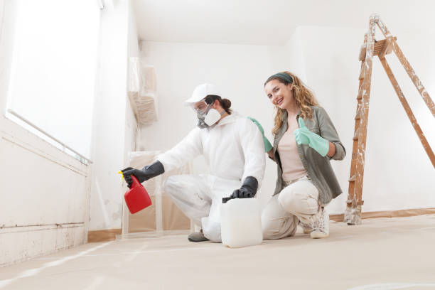 Best Post-Construction Mold Inspection  in Key Largo, FL