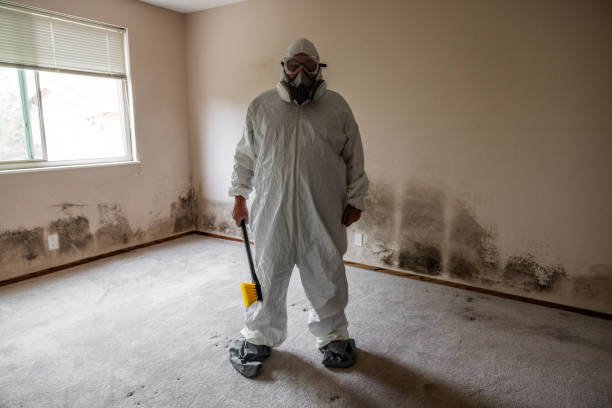 Best Commercial Mold Inspection  in Key Largo, FL